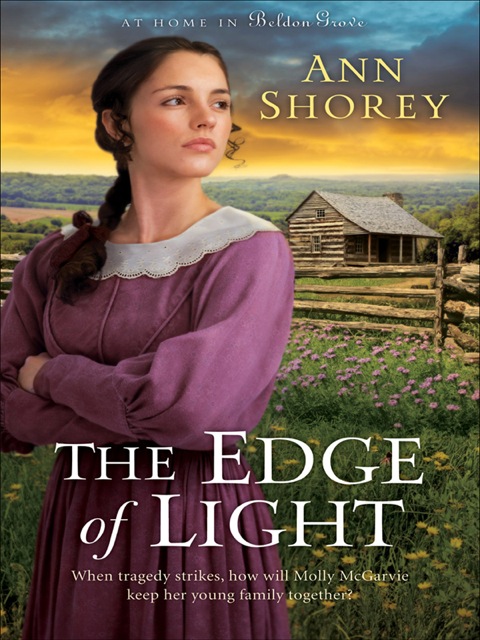 Cover image for book The Edge of Light