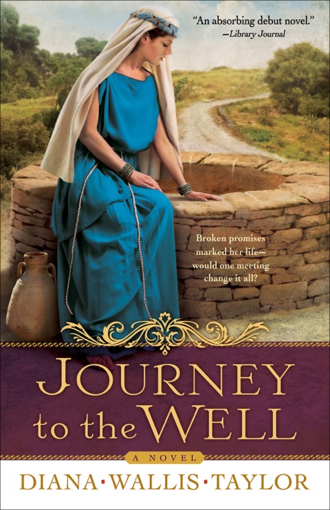 Cover image for book Journey to the Well