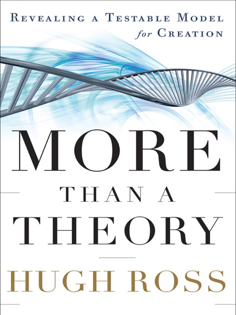 Cover image for book More Than a Theory