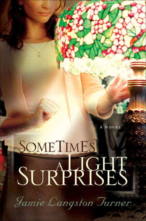Cover image for book Sometimes a Light Surprises