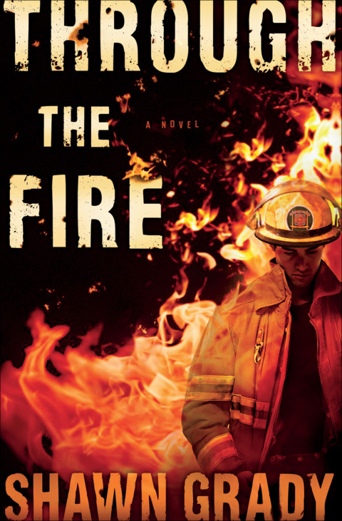 Cover image for book Through the Fire