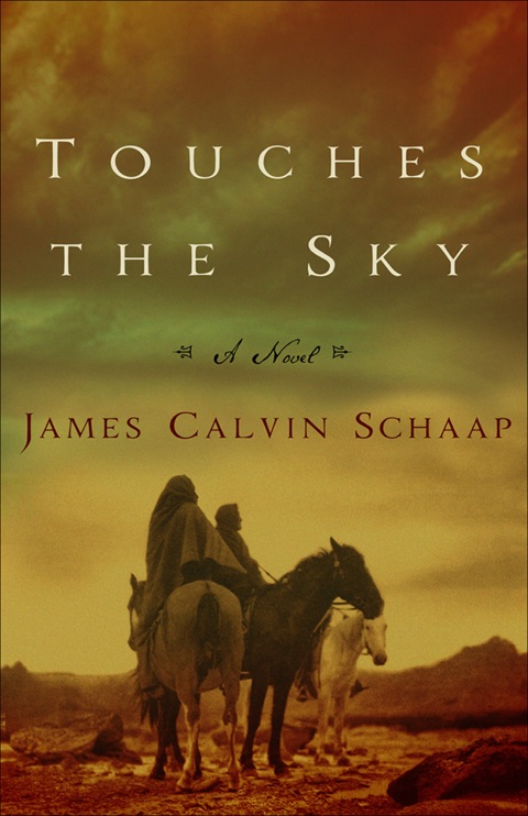 Cover image for book Touches the Sky
