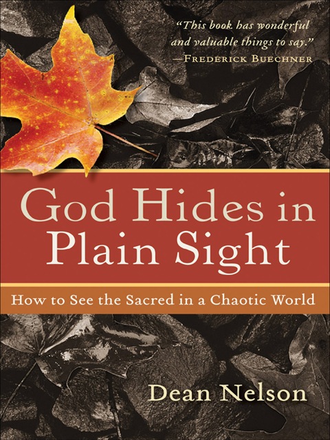 Cover image for book God Hides in Plain Sight