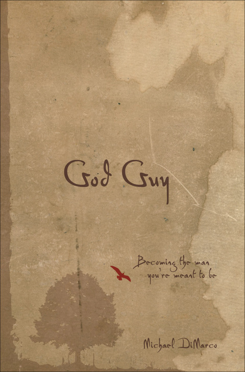 Cover image for book God Guy