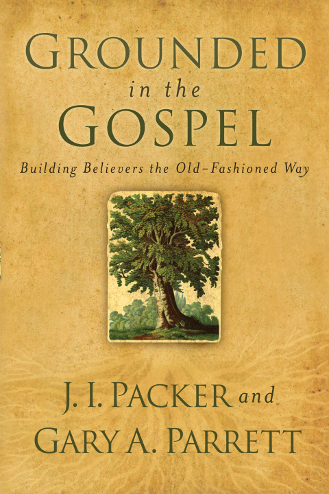 Cover image for book Grounded in the Gospel