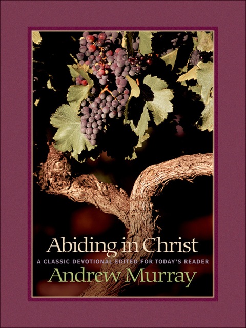 Cover image for book Abiding in Christ