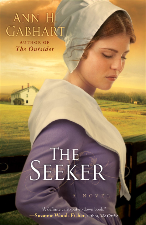 Cover image for book The Seeker