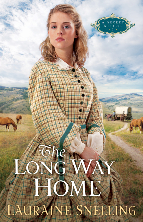Cover image for book The Long Way Home