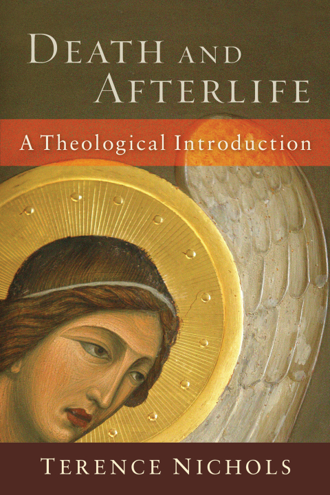 Cover image for book Death and Afterlife