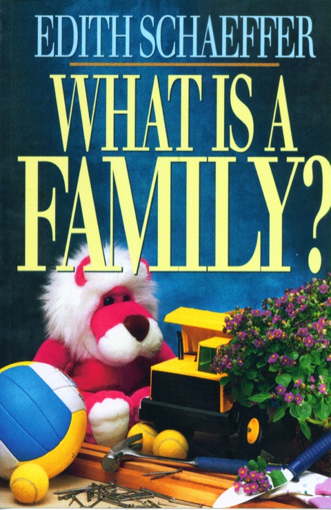 Cover image for book What is a Family?