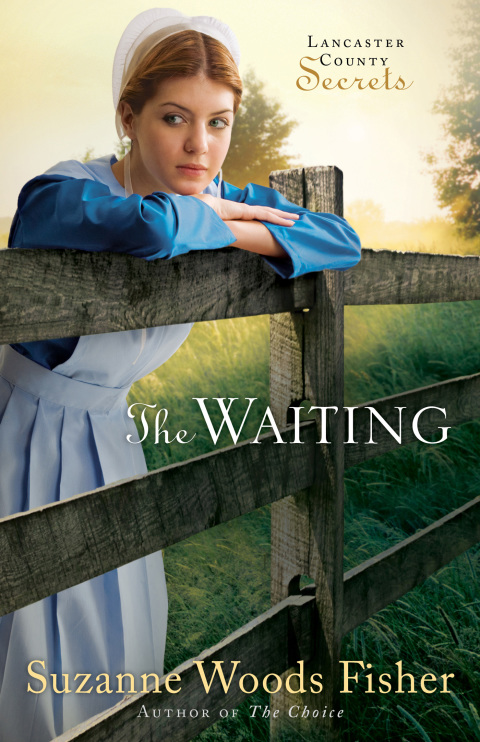 Cover image for book The Waiting