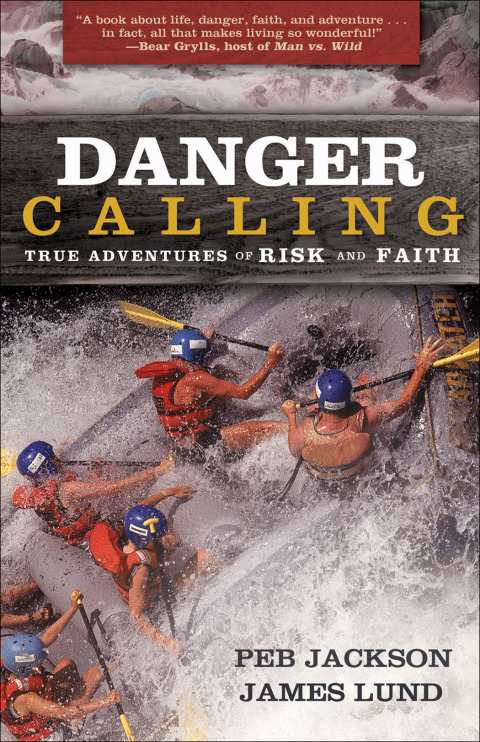 Cover image for book Danger Calling