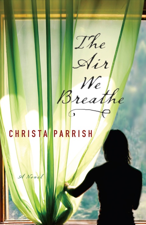 Cover image for book The Air We Breathe