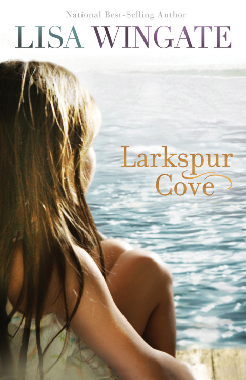 Cover image for book Larkspur Cove