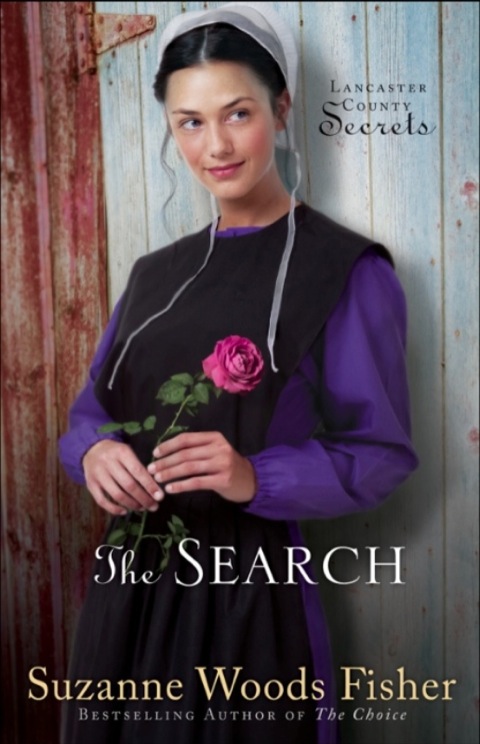 Cover image for book The Search