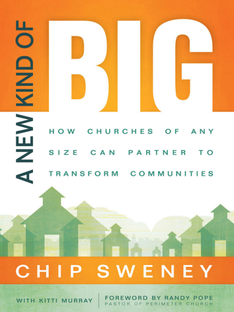 Cover image for book A New Kind of Big
