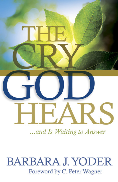 Cover image for book The Cry God Hears