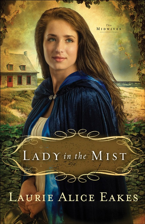 Cover image for book Lady in the Mist