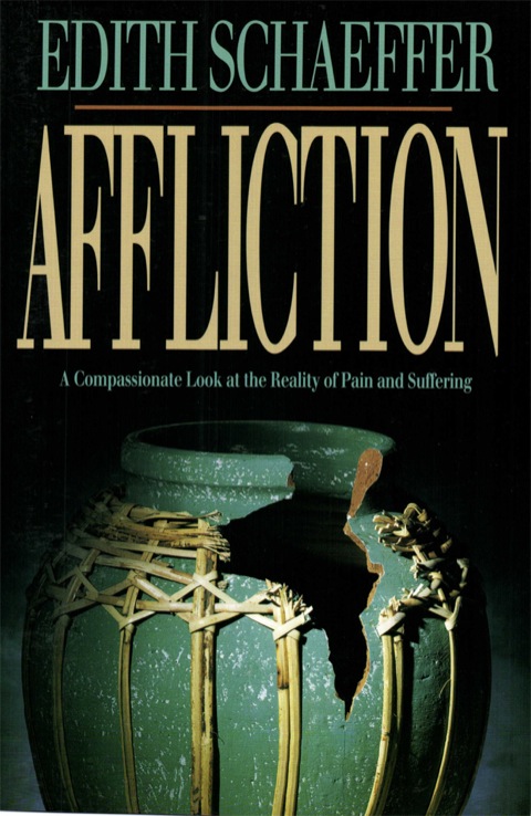 Cover image for book Affliction