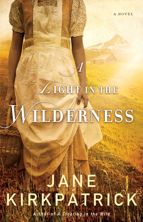Cover image for book A Light in the Wilderness