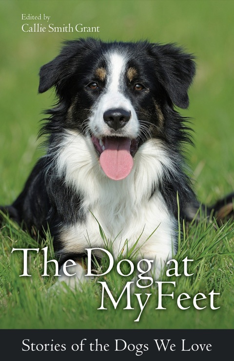 Cover image for book The Dog at My Feet