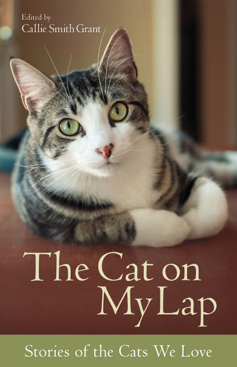 Cover image for book The Cat on My Lap