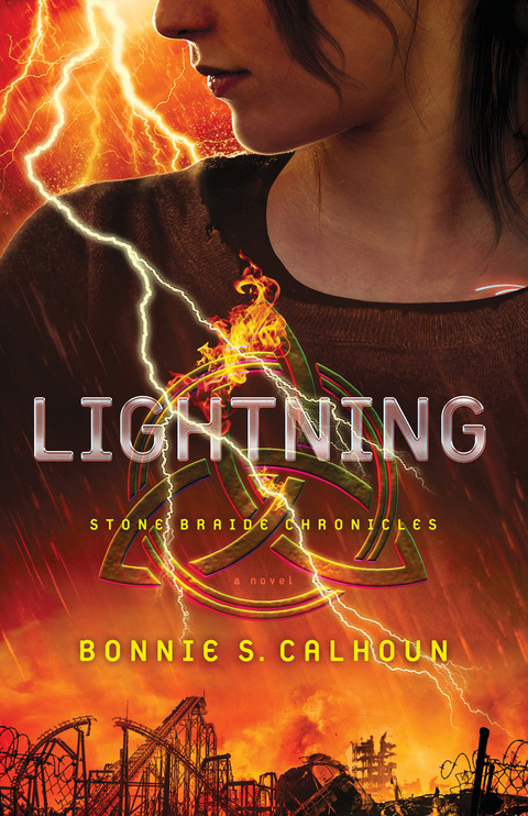 Cover image for book Lightning