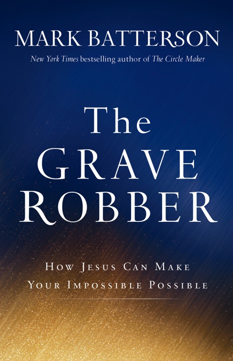 Cover image for book The Grave Robber