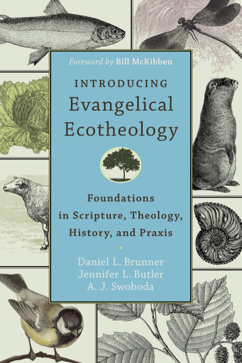 Cover image for book Introducing Evangelical Ecotheology