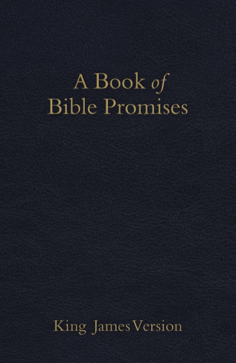 Cover image for book KJV Book of Bible Promises Midnight Blue