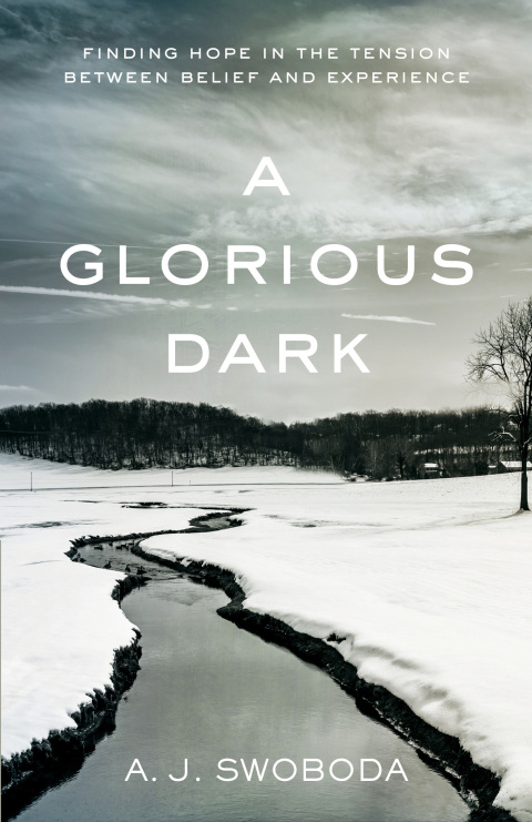 Cover image for book A Glorious Dark