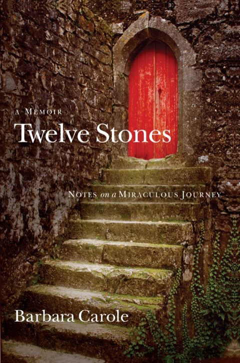 Cover image for book Twelve Stones