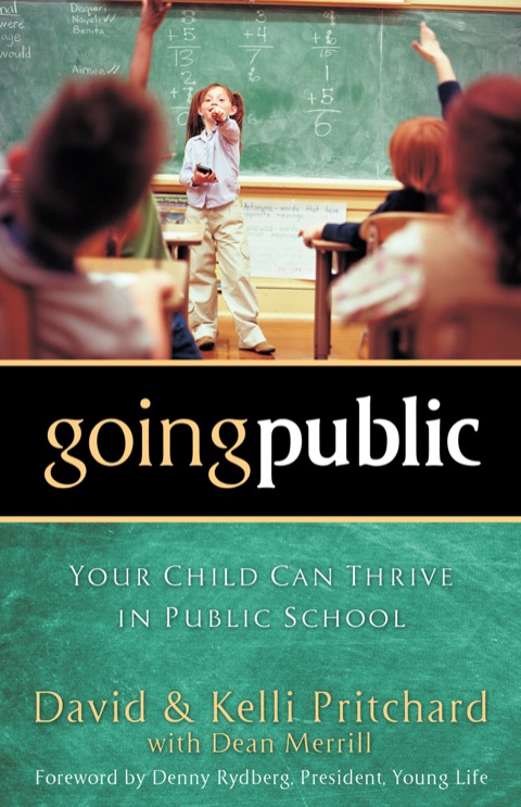 Cover image for book Going Public