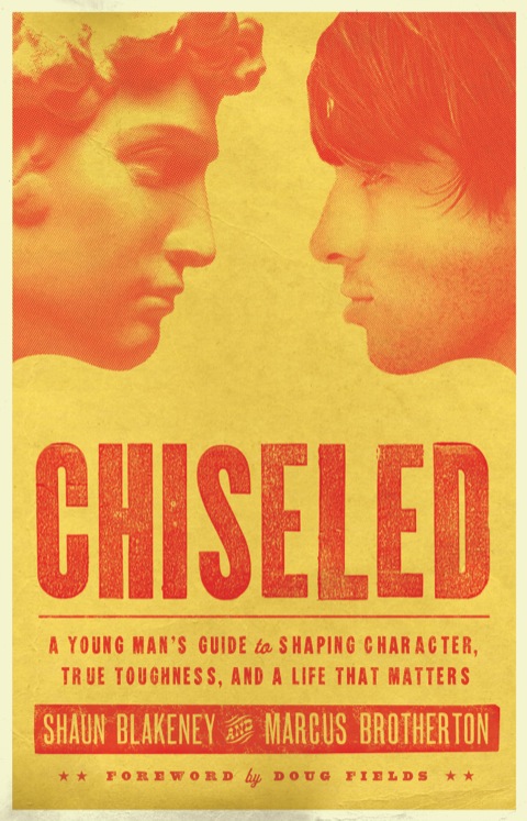 Cover image for book Chiseled