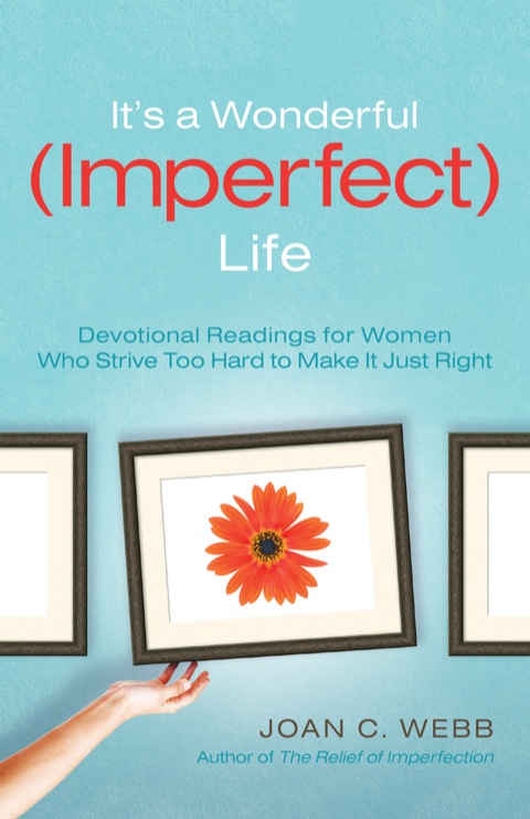 Cover image for book It's a Wonderful (Imperfect) Life