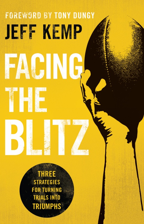 Cover image for book Facing the Blitz