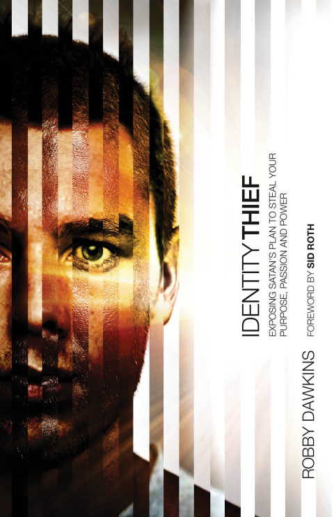 Cover image for book Identity Thief