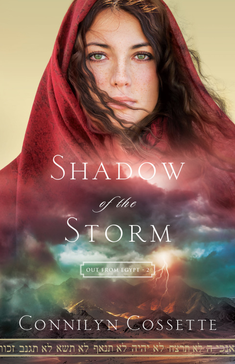 Cover image for book Shadow of the Storm