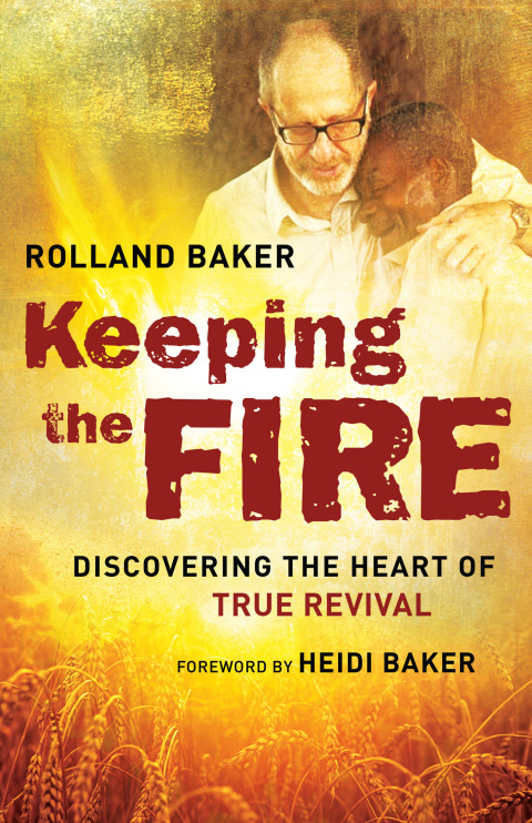 Cover image for book Keeping the Fire