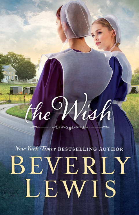 Cover image for book The Wish
