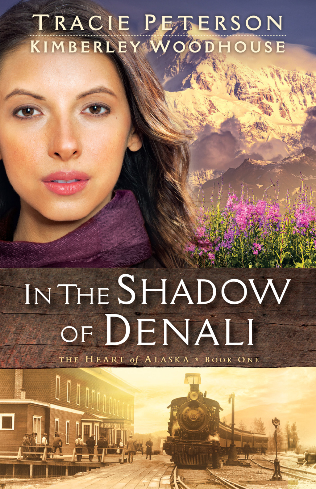 Reflowable In the Shadow of Denali; $17.75
