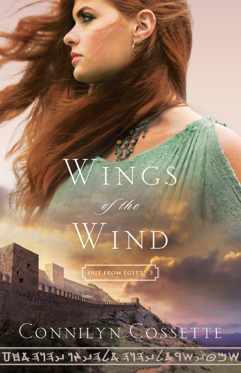 Cover image for book Wings of the Wind