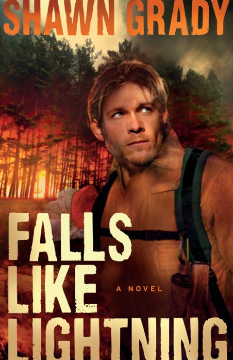 Cover image for book Falls Like Lightning