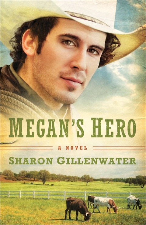 Cover image for book Megan's Hero