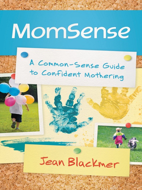 Cover image for book MomSense