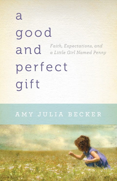 Cover image for book A Good and Perfect Gift