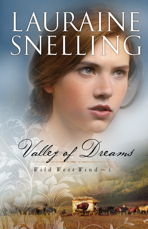 Cover image for book Valley of Dreams