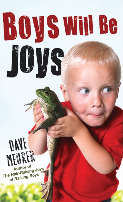 Cover image for book Boys Will Be Joys