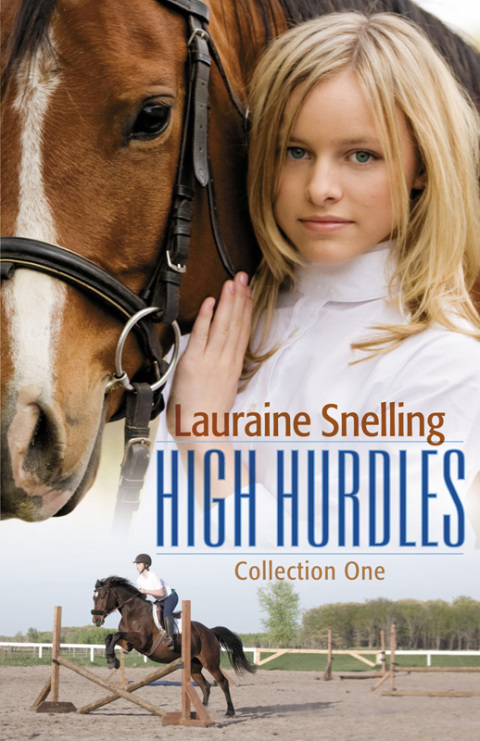 Cover image for book High Hurdles Collection One