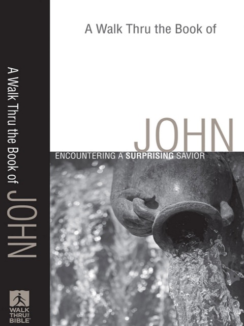 Cover image for book A Walk Thru the Book of John